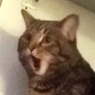 😬