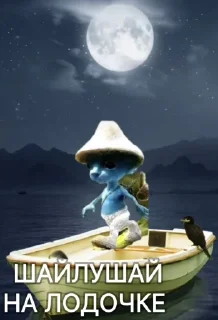 🛶