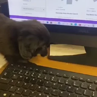 🖊