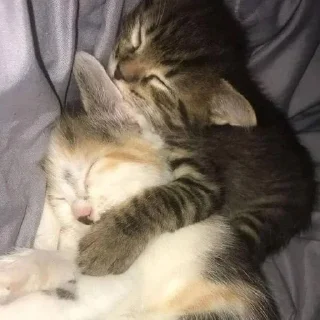 🌟