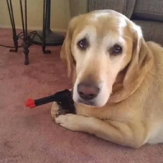 🔫