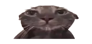 😳