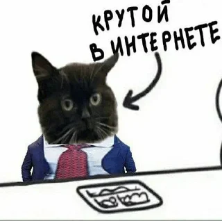 😎