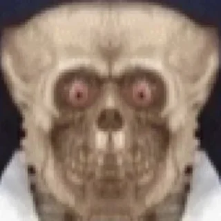 💀