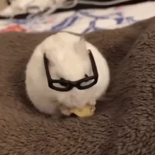 🤓