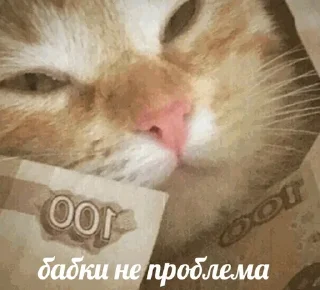 🤑
