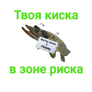 😎