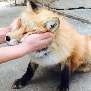 ☺️