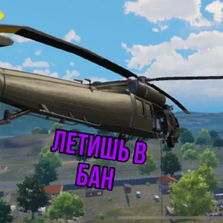 ✈️