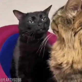 😐