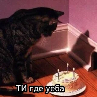 😺