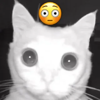 😳