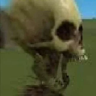 💀