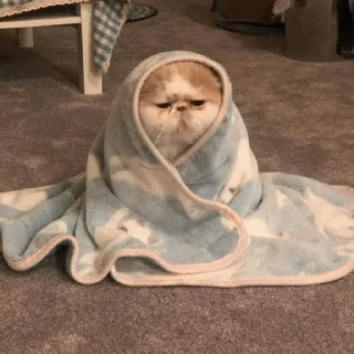 😑