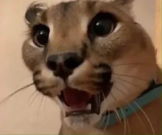 😡