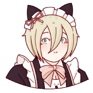 🐱