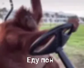 🚗
