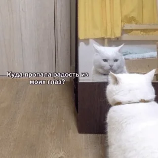 😠