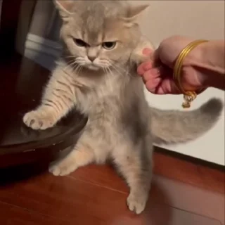 😡