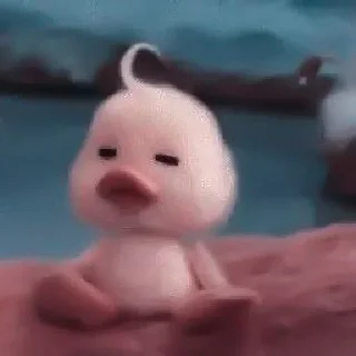 🫐