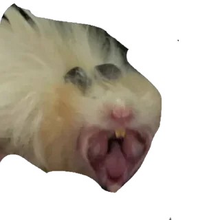 🫥