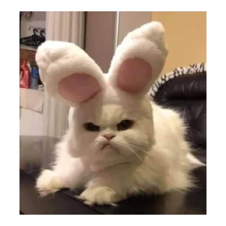 😠