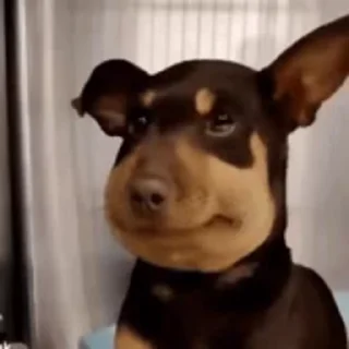 🥺