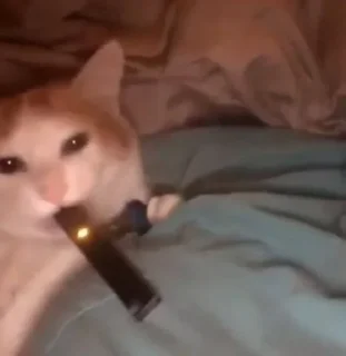 😮‍💨