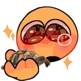🐢