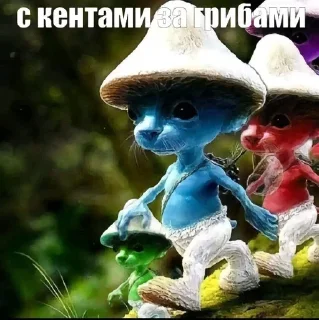🌟
