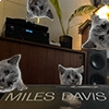 Miles_pack