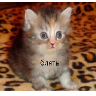 😐