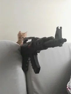 🤨