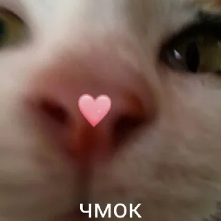 💕