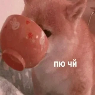 ☕
