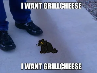 🧀