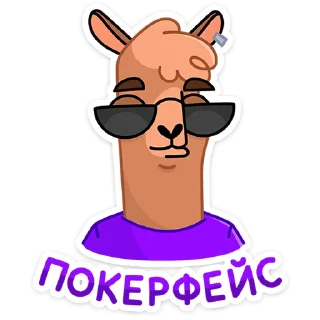 😎