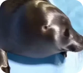 😎