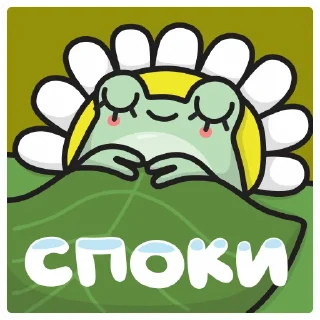 😴