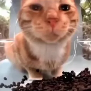 👀