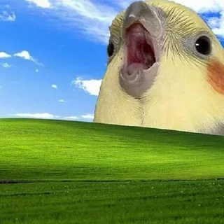 😲
