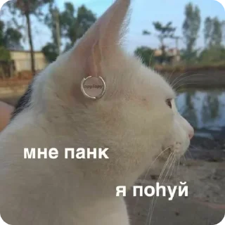 🗿