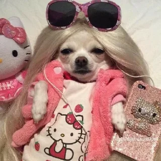 😎