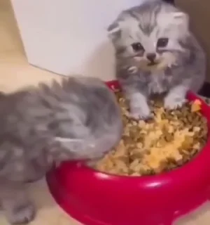 😱