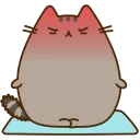 🐱