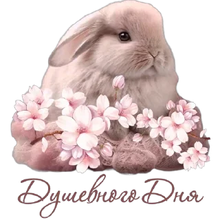 🐇