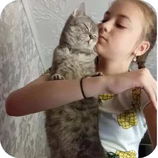 🐱