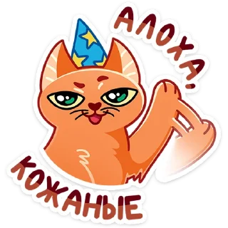 👋