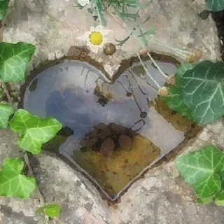 💖