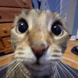 😳
